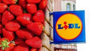 Cestino di fragole da Lidl