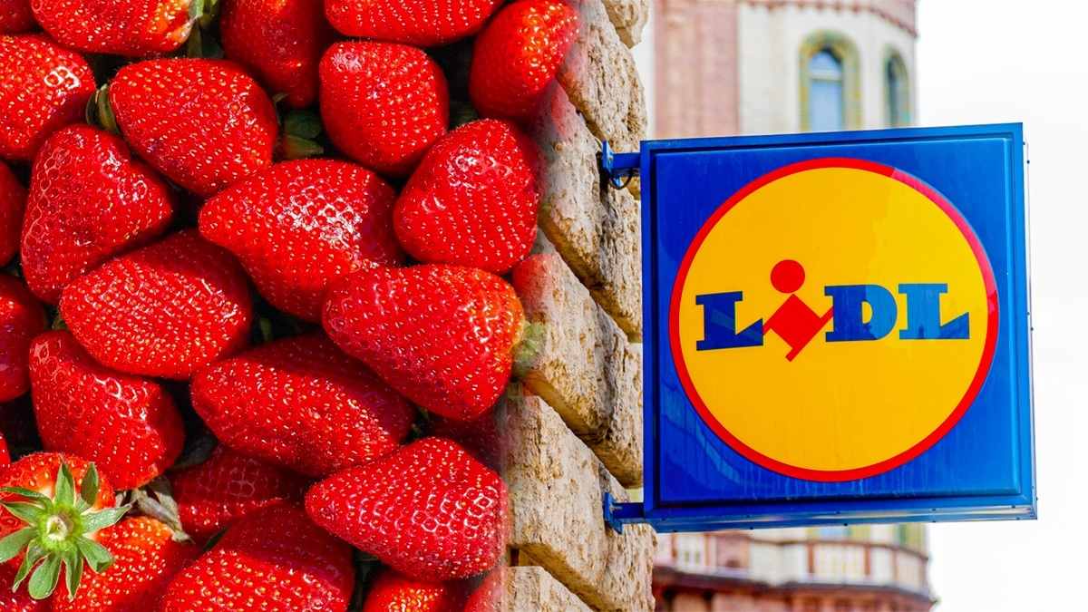 Cestino di fragole da Lidl