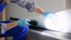 Come arrivano le cimici dei letti in casa