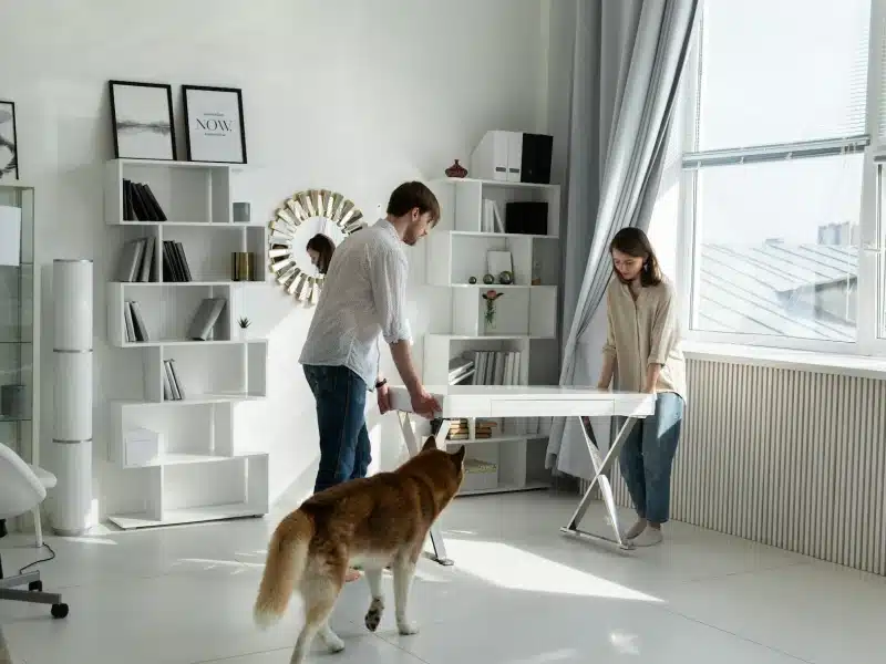 Mutuo giovani prima casa: la tua guida completa