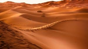 Arabia Saudita importa sabbia