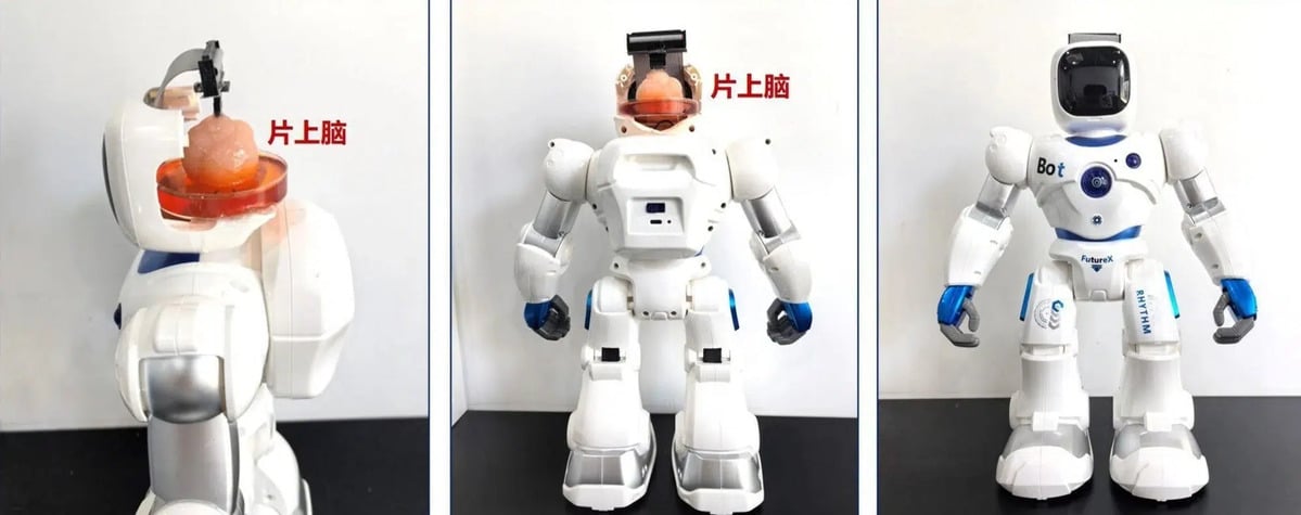 Cina ha davvero creato un Robocop in laboratorio