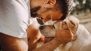 Cosa succederebbe ai nostri cani se l’umanità scomparisse?