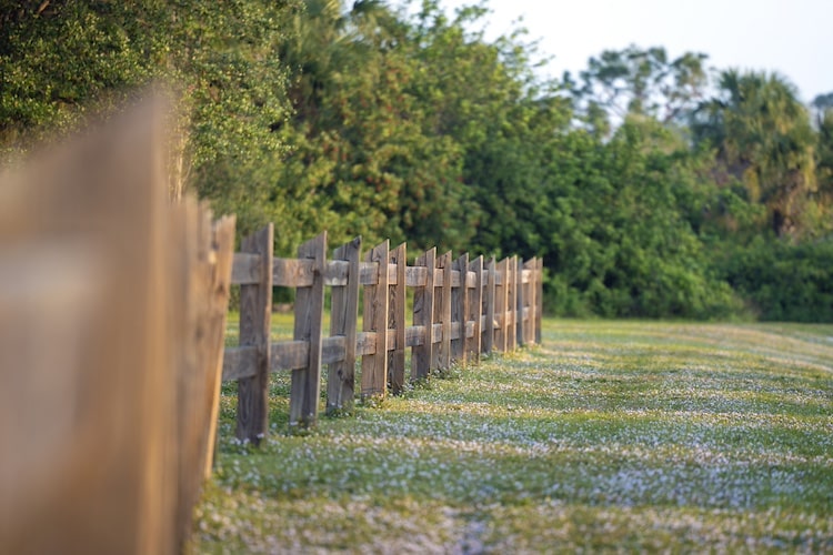 recinzione tra due proprietà