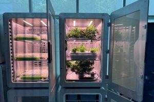 Una scoperta scientifica rivoluzionaria potrebbe nutrire 136 miliardi di persone