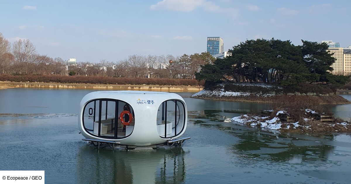 Una barca solare intelligente pulisce i laghi grazie all'intelligenza artificiale
