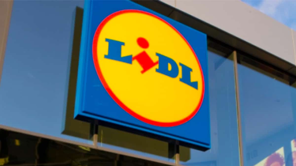 Lidl propone 2 prodotti efficaci per combattere l'umidità nella vostra casa