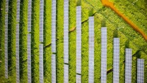 L’agri-fotovoltaico
