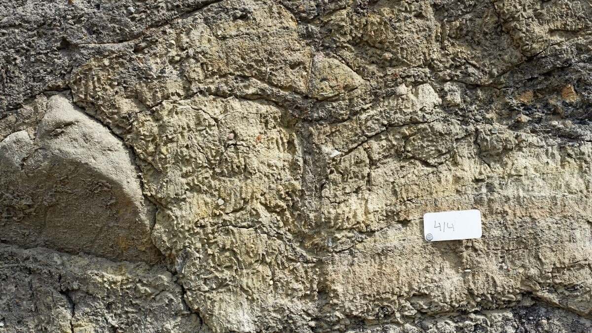 L’Europa culla dell’umanità?