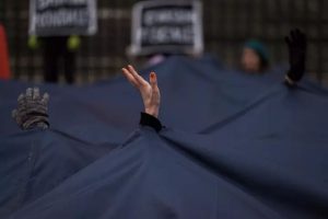 Crisi per le ONG ecologiste