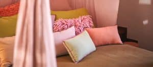 La tinta della tua camera potrebbe portarti sfortuna