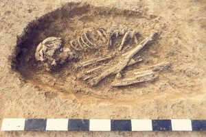 I fossili umani più antichi del Giappone non sono affatto umani