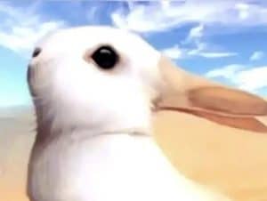 Il primo animale che vedi rivela se sei pessimista o ottimista