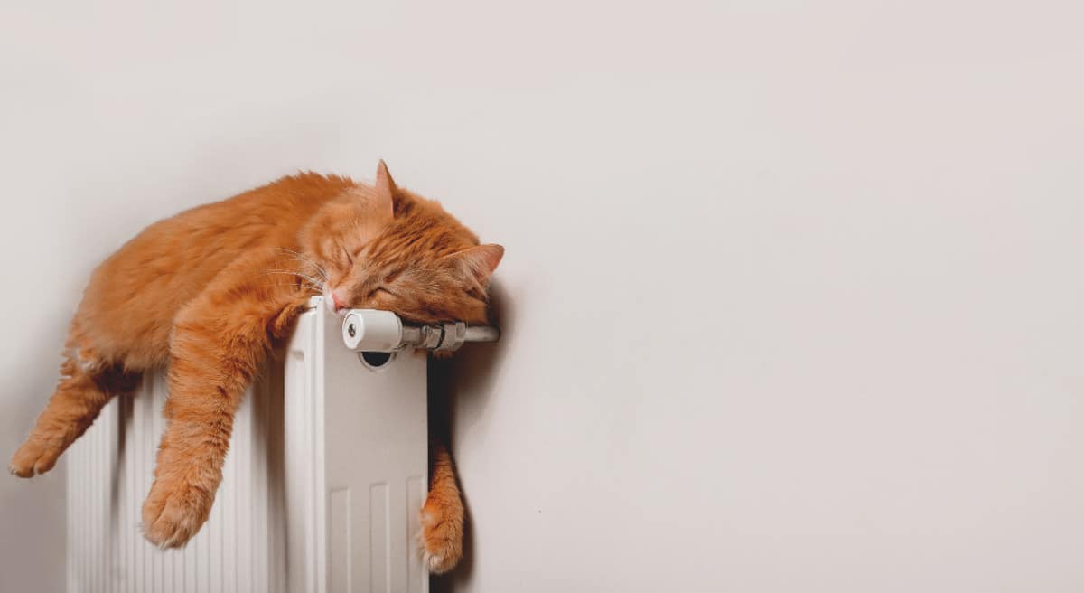 Riscaldare tutte le stanze di casa