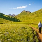 Fuga dall'afa, ecco le case in montagna dove l'estate è ancora sopportabile