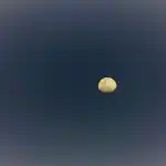 Campo di grano illuminato dalla luna piena al tramonto, crepuscolo prolungato