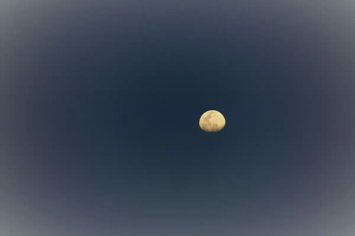 Campo di grano illuminato dalla luna piena al tramonto, crepuscolo prolungato