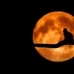 Collina autunnale con luna piena all'orizzonte e lanterna in primo piano