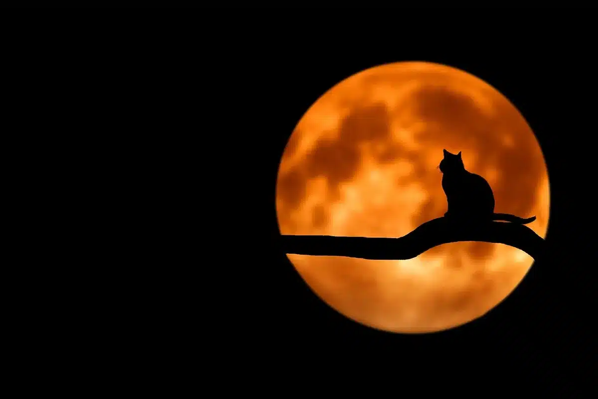 Collina autunnale con luna piena all'orizzonte e lanterna in primo piano