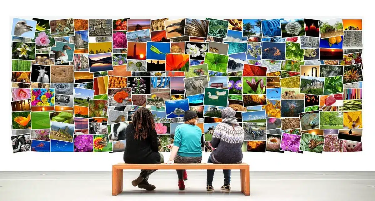 Interno di una galleria con opere e percorso espositivo